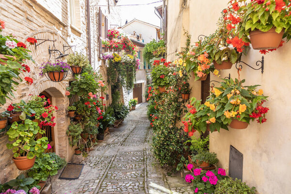 Spello, Italy - Circa June 2021: flowers in ancient street. Spello is located in Umbria region, Italy.