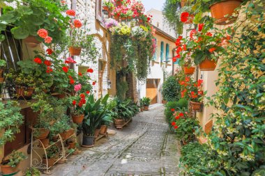 Spello, İtalya - Haziran 2021: Antik caddede çiçekler. Spello İtalya 'nın Umbria bölgesinde yer almaktadır..