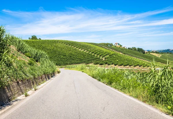 Asti Italia Circa Agosto 2020 Colinas Del Piamonte Italia Zona — Foto de Stock