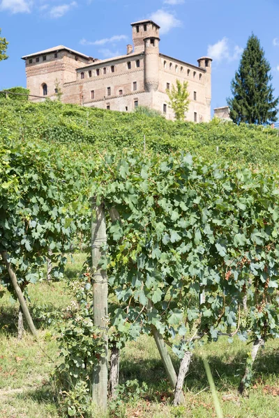 Vineyard Piemonte Region Italien Med Grinzane Cavour Slott Bakgrunden Langhe — Stockfoto