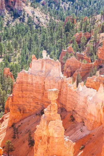 Bryce Canyon — Stock Photo, Image