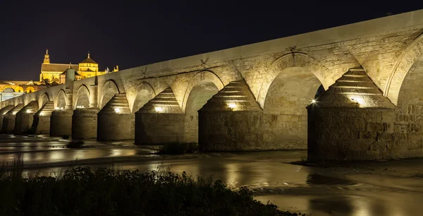 Ponte de córdoba durante a noite — Fotografia de Stock