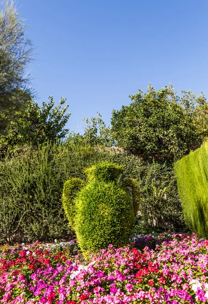 Giardino all'italiana — Foto Stock