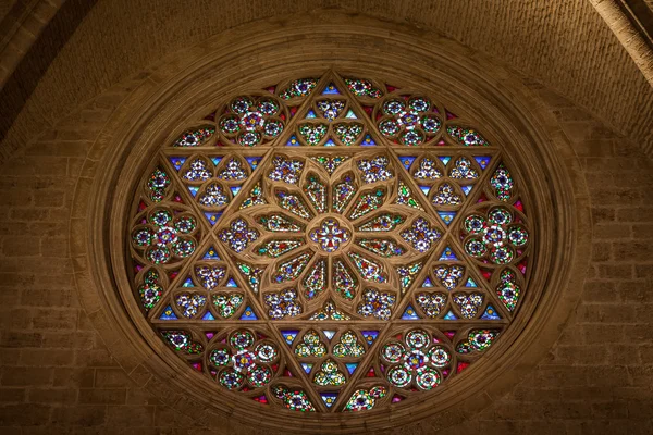 Catedral Interior — Fotografia de Stock