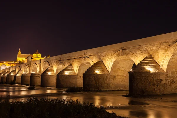 Ponte de córdoba durante a noite — Fotografia de Stock