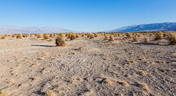死亡谷沙漠 — 图库照片