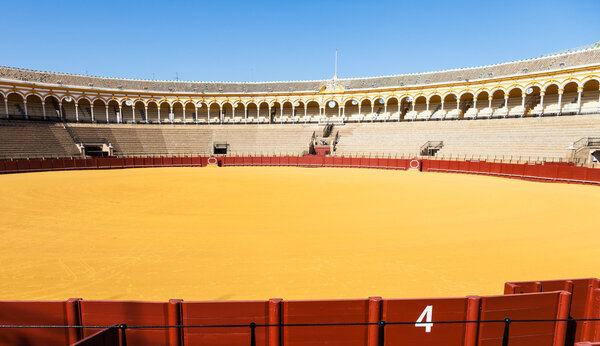 Бык в Севилье
