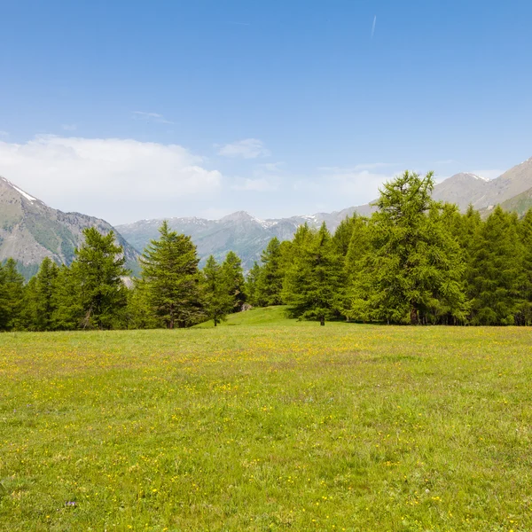 Alpes italianos — Fotografia de Stock