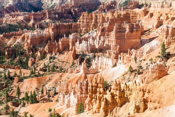 Bryce Canyon. — Fotografia de Stock