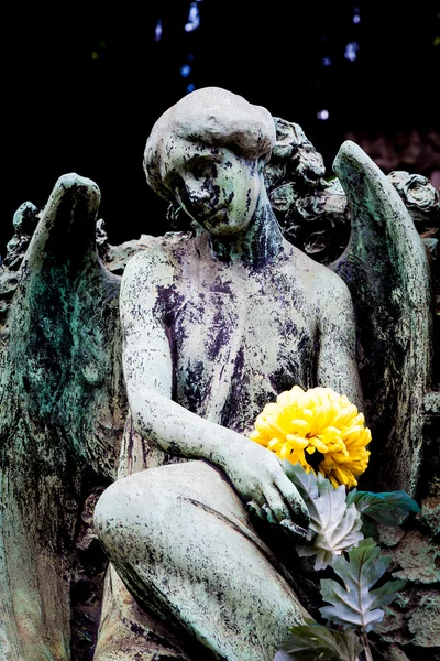 Régi temető szobor — Stock Fotó