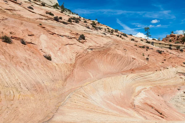 Parque nacional de Sião — Fotografia de Stock