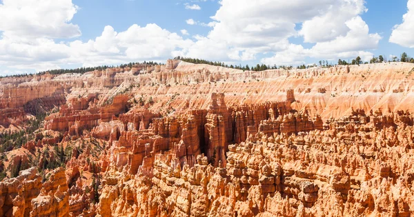 Bryce Canyon Ordförande — Stockfoto