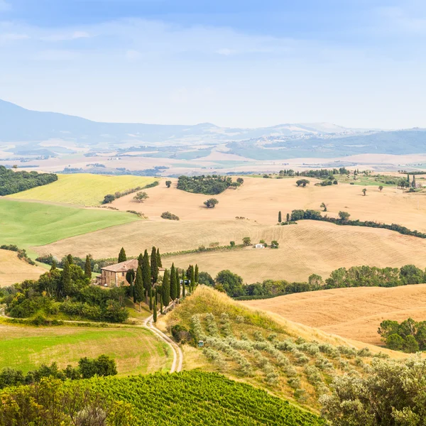 Landsbygden i Toscana — Stockfoto