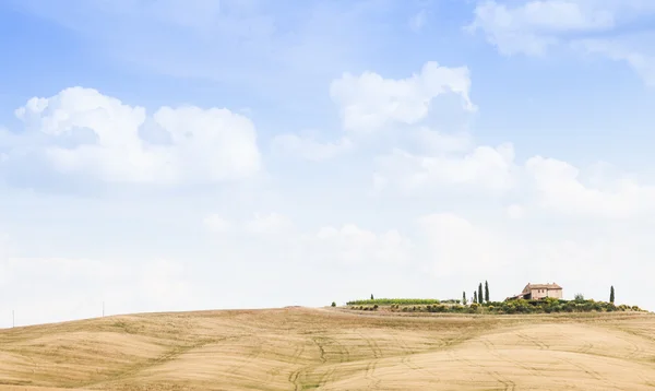 Countryside in Tuscany — Stock Photo, Image