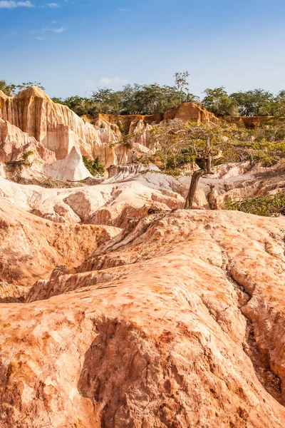 Marafa canyon - Keňa — Stock fotografie