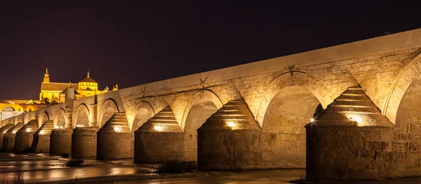 Puente de Córdoba durante la noche — Foto de Stock