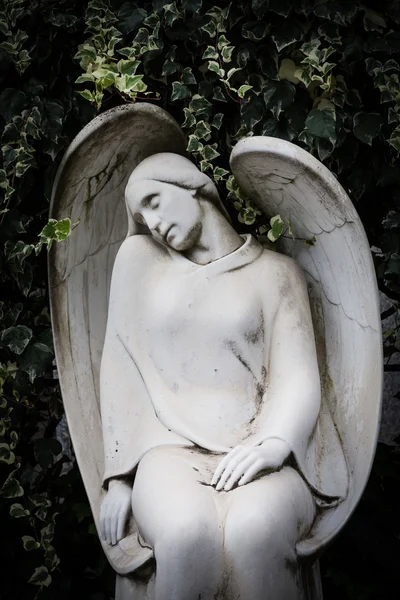 Old Cemetery statue — Stock Photo, Image