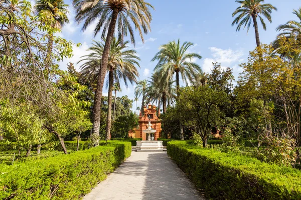 Garden Alcazar Sewilla — Zdjęcie stockowe