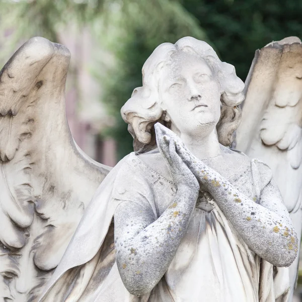 Estatua del antiguo cementerio —  Fotos de Stock