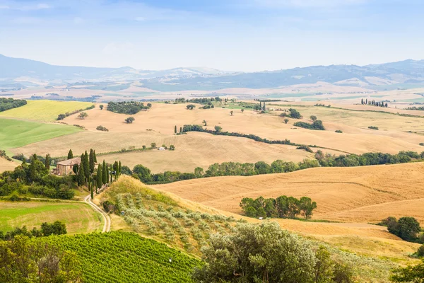 Campagna in Toscana — Foto Stock