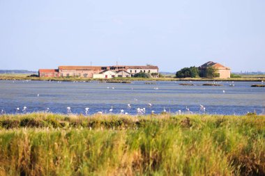 İtalya, Comacchio. Yazın mavi gökyüzü olan bir göl. Wetland Parkı.