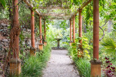 Romantik bahçe geçidi baharda yeşil bir tünel oluşturuyor.