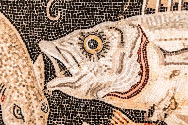 NAPLES, ITALY AĞUSTOS 2025 Pompeii Deniz Yaşamı Mozaiğinin MÖ 1. yüzyılın başlarına dayanan ayrıntıları, balık ve deniz canlılarıyla birlikte Napoli Arkeoloji Müzesi 'nde sergilenmektedir..