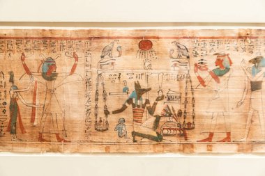 Torino, İtalya - Nisan 2025 Mısır Müzesi. Orijinal antika papirüs, Eski Mısır dilinde yazılmış, 27-22 sent. BC