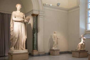 Napoli Arkeoloji Müzesi 'nin 15 Kasım 2025 tarihli NAPLES, İtalyan İç Galerisi yumuşak gün ışığında antik mermer heykeller sergiliyor. Sanatsal seyahat hedefi.