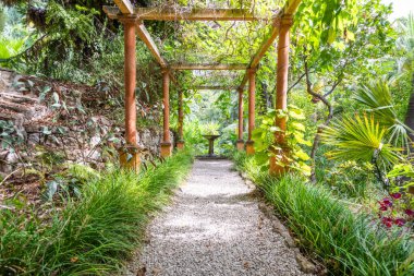 Romantik bahçedeki çeşmeli çardak perspektifi. Yeşil cennet manzaralı veranda.