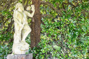 Stresa, İtalya - Mayıs 2025: Villa Pallavicino parkında bulunan Herkül heykeli. Zarif İtalyan bahçesi, romantik estetik.