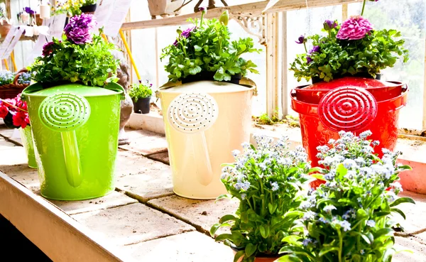 Garden - Watering can — Stock Photo, Image