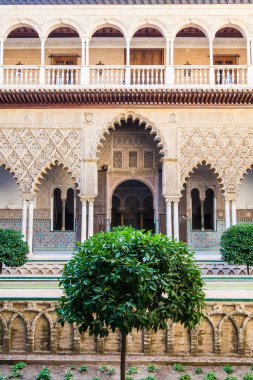 Seville Alcazar Bahçe