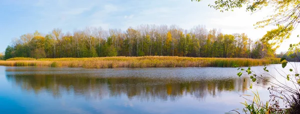 Панорама, красивый осенний пейзаж. Вид на реку и лес, Полтавская область, Украина — стоковое фото