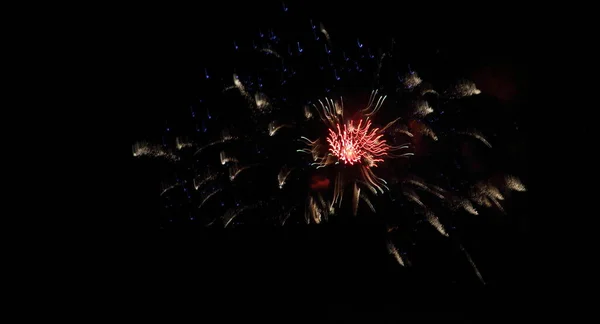 Fogos Artifício Festivos Contra Céu Negro — Fotografia de Stock