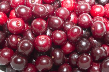 Olgunlaşmış kiraz meyvesi. Toplu olarak. Duvar kağıdı için meyve dokusu.