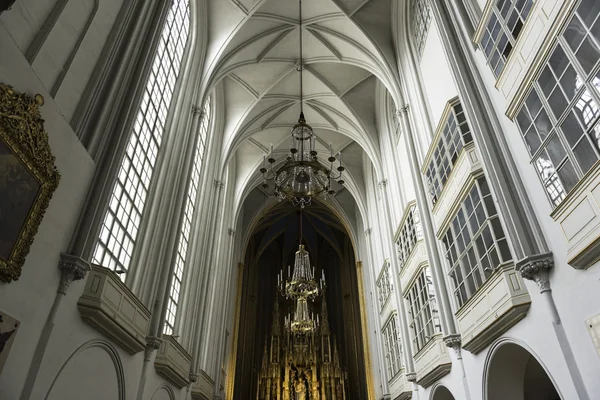Augustinerkirche, Vienna — Zdjęcie stockowe