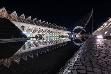 VALENCIA, İspanya - 6 Şubat 2025 Valencia, İspanya 'daki Sanat ve Bilim Şehri' nin büyüleyici gece manzarası. Santiago Calatrava ve Felix Candela tarafından tasarlanan modern mimari yapılar çarpıcı bir şekilde aydınlatılmıştır..