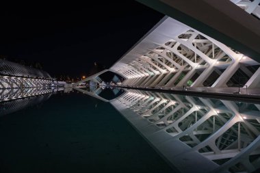 VALENCIA, İspanya - 6 Şubat 2025 Valencia, İspanya 'daki Sanat ve Bilim Şehri' nin büyüleyici gece manzarası. Santiago Calatrava ve Felix Candela tarafından tasarlanan modern mimari yapılar çarpıcı bir şekilde aydınlatılmıştır..