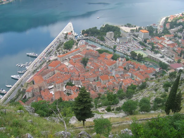 Town of Kotor — Stock Photo, Image