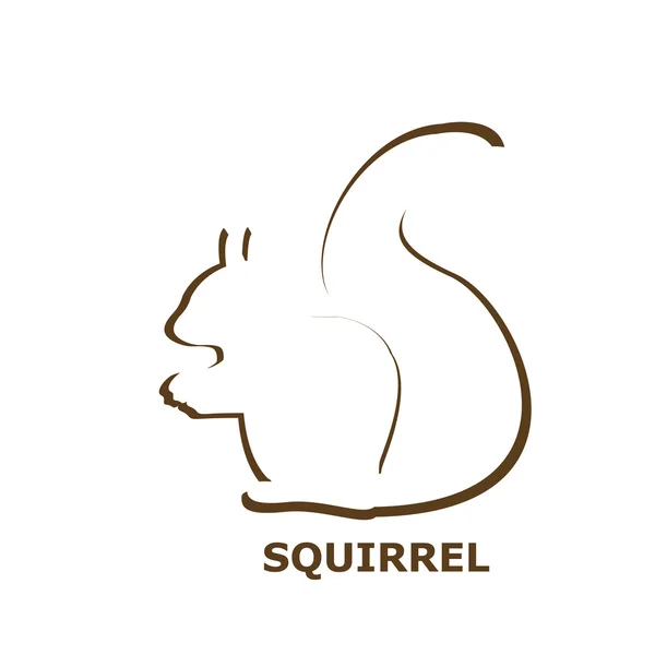Illustration d'une icône d'écureuil — Image vectorielle