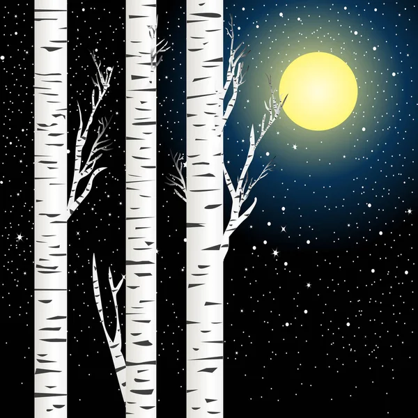 Birch Trees Night Sky Full Moon Stars — Stock Vector