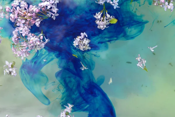 Flores Lila Flotando Agua Azul — Foto de Stock
