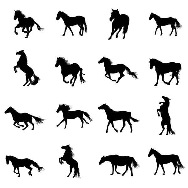 Conjunto Siluetas Caballos Negros Sobre Fondo Blanco — Vector de stock