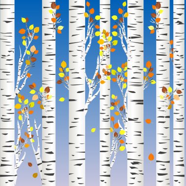 sonbahar yatay, huş ağacı orman