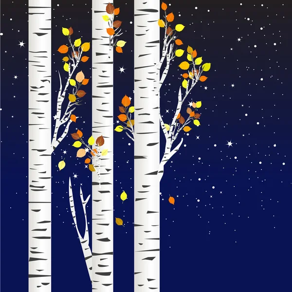 Birch trees in the autumn over a starry night — Stock Photo, Image