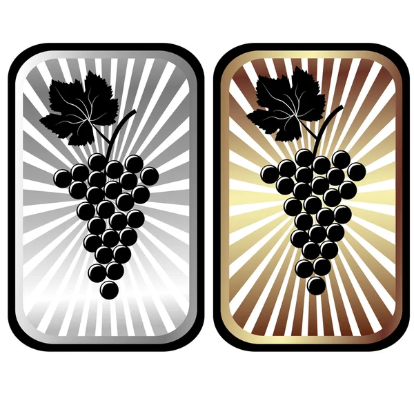 Labels with grapes — Stock Vector