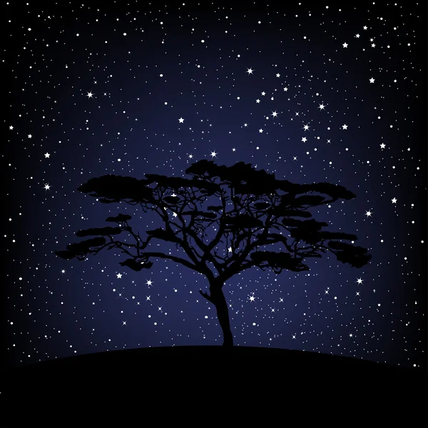 在繁星满天的夜晚树 — 图库矢量图片