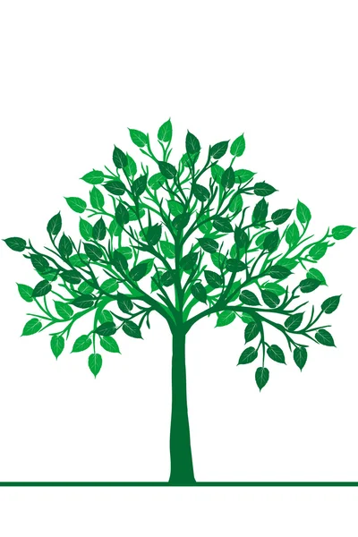 Green tree — Stock Vector