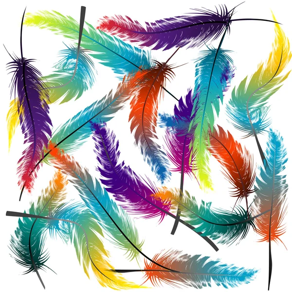 Fondo de plumas coloridas — Vector de stock